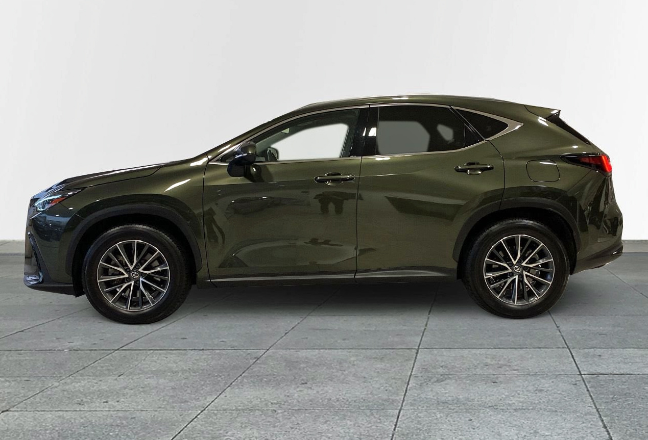 Grön metallic Lexus NX 450H + stulen i Stora Mossen Bromma, Stockholm